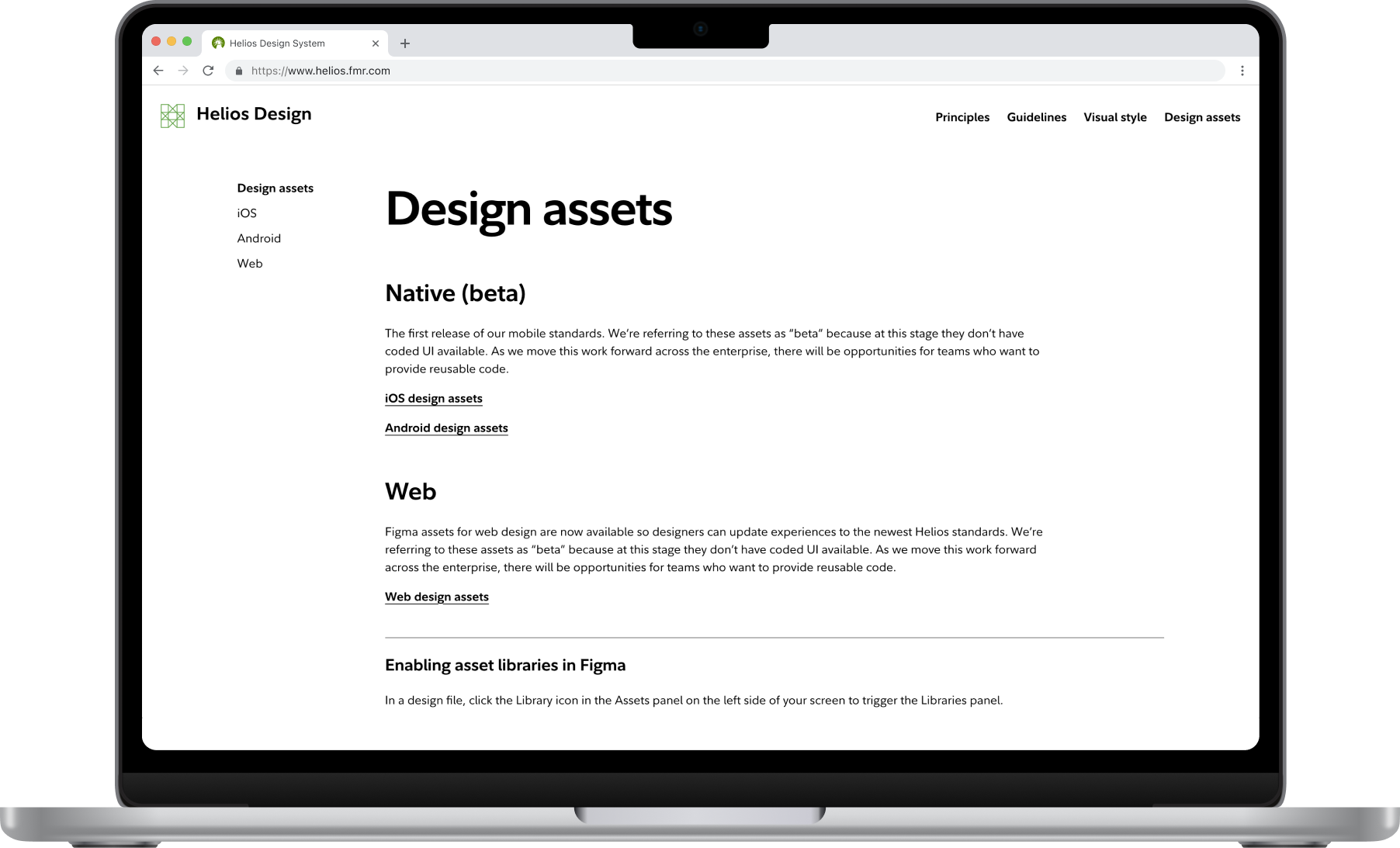 The design system site's Design assets page on a laptop.